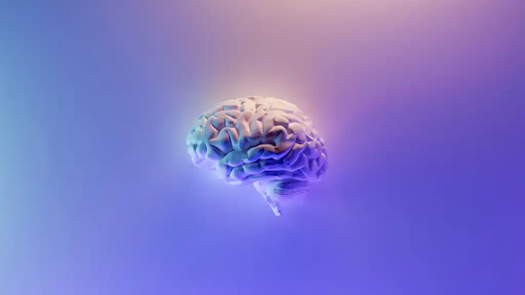intelligence brain milad fakurian 58z17lnvs4u unsplash
